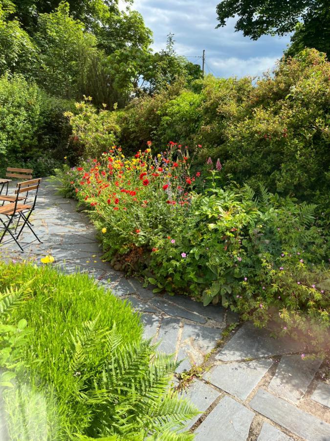 Beautiful Ancient Stone Cottage, Local Walks & Pub! Conwy Exteriör bild