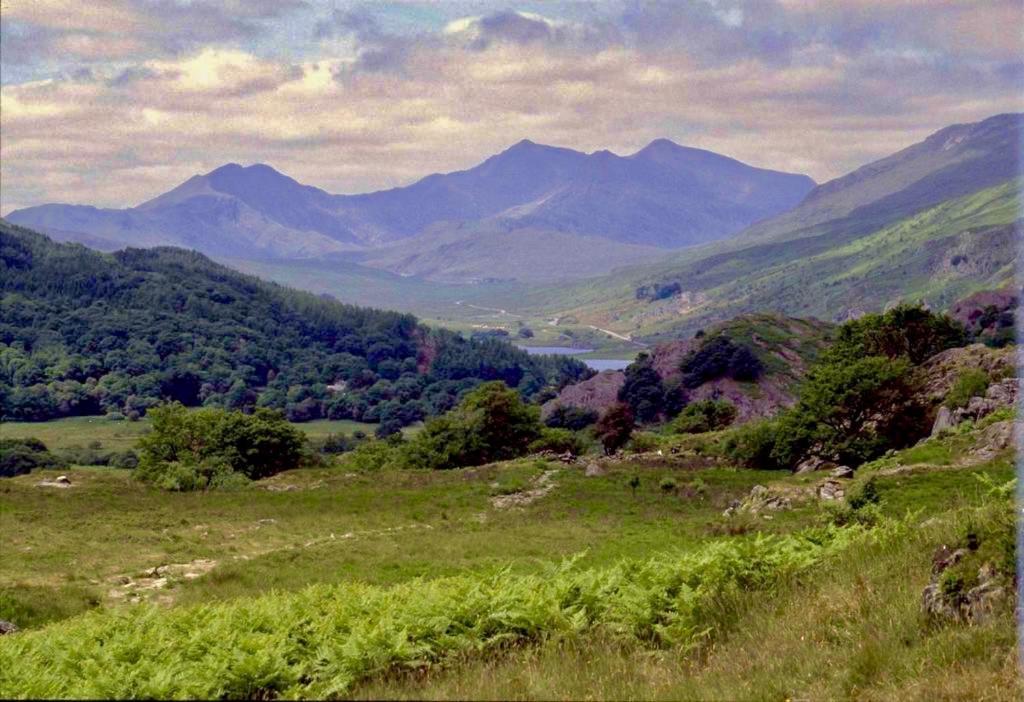 Beautiful Ancient Stone Cottage, Local Walks & Pub! Conwy Exteriör bild